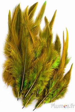 Coq - 8-12 cm - kaki-olive